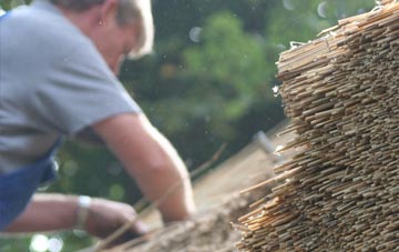 professional Maperton thatchers